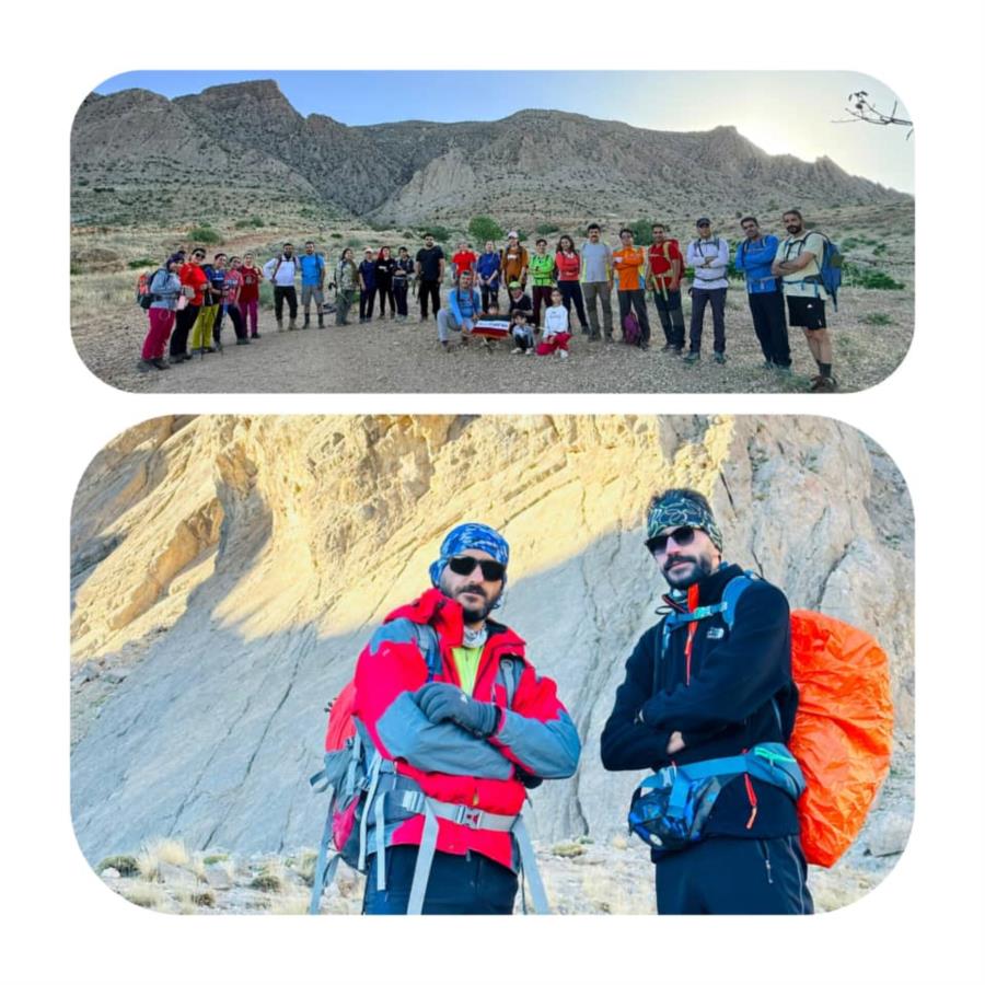 پیمایش گرده دراک